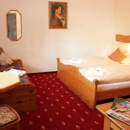 Zwota 3* Клингенталь