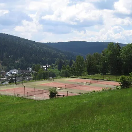 Zwota 3* Клингенталь