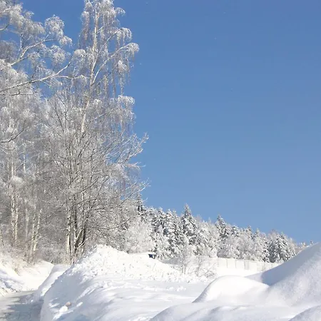 Zwota 3* Клингенталь