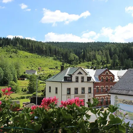 Отель Zwota Клингенталь