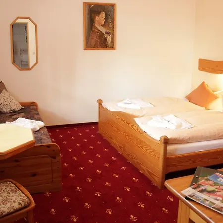 Zwota Hotel 3*