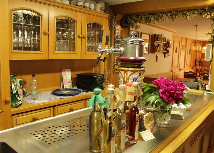 Zwota Hotel Klingenthal