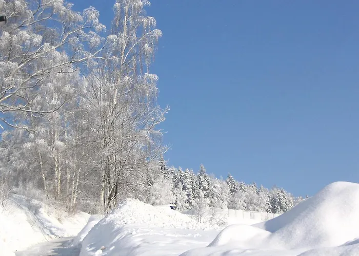 Zwota 3* Klingenthal